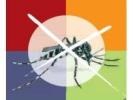 Provvedimenti per la prevenzione e il controllo delle malattie da virus West Nile