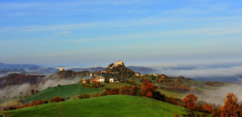 Biblioteca "L. L. Ghirardini"